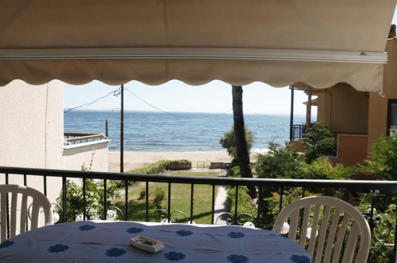 Apartment Seahouse With View Psakoudia